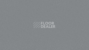 Линолеум Tarkett Travertine Pro PRO_GREY 04 фото 1 | FLOORDEALER